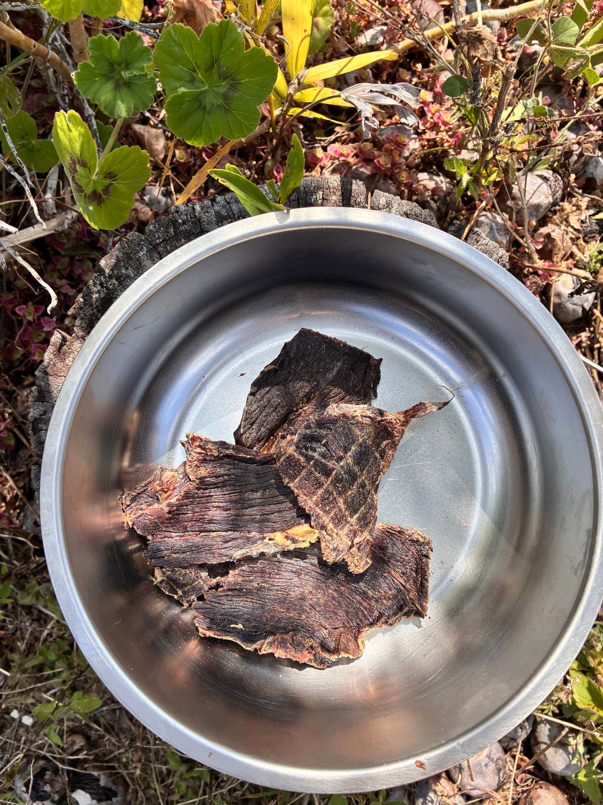 Kangaroo Jerky
