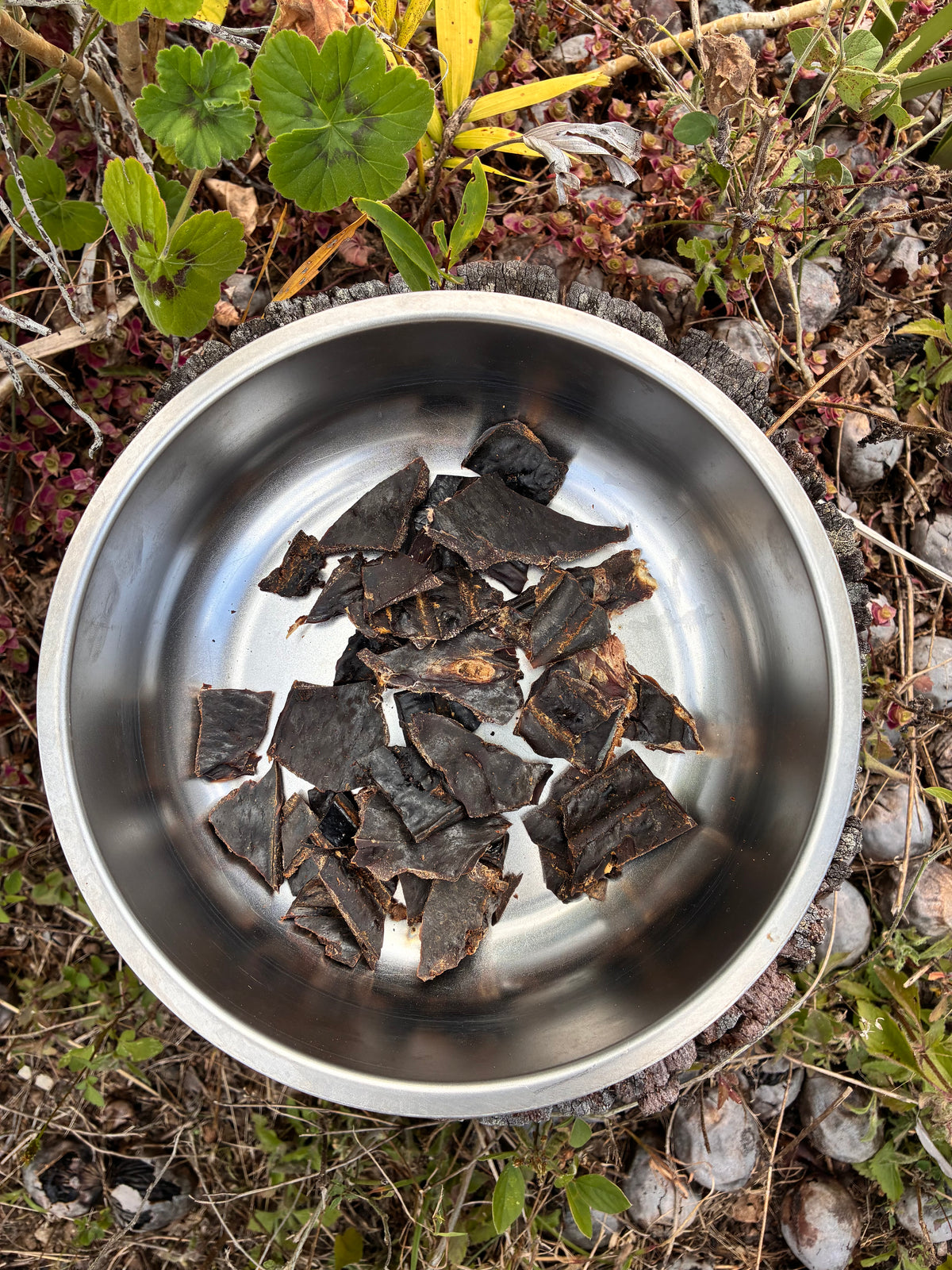 Beef Liver Dog Treats
