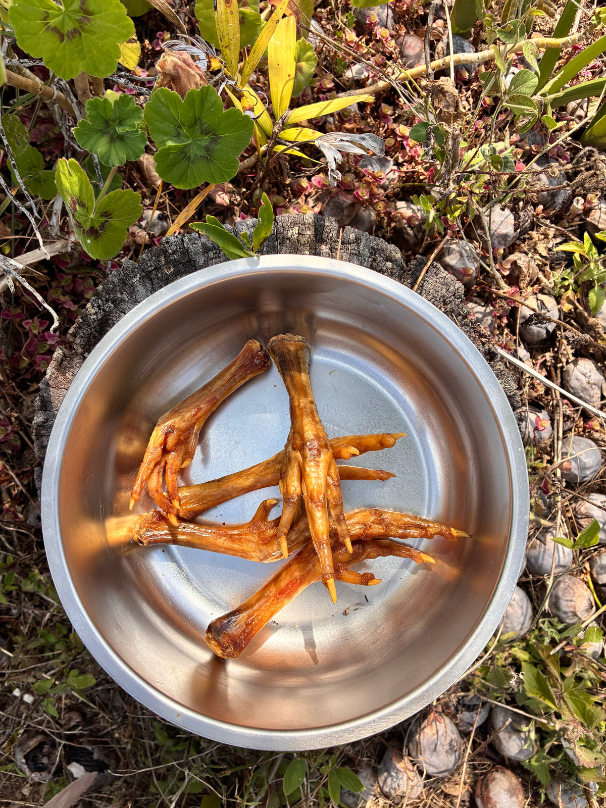 Chicken Feet