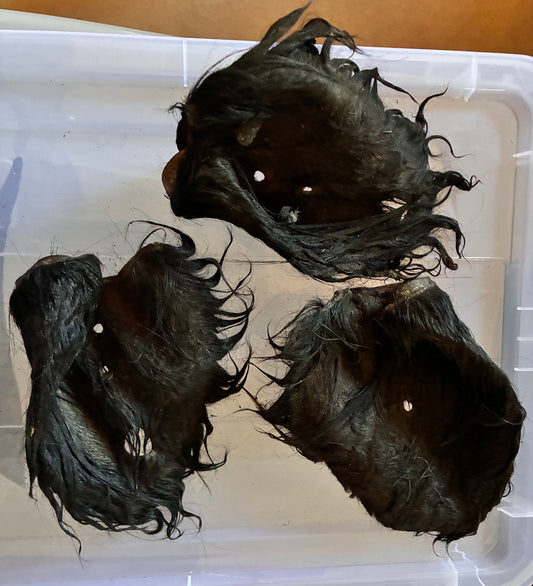 Hairy Cow Ear (small)