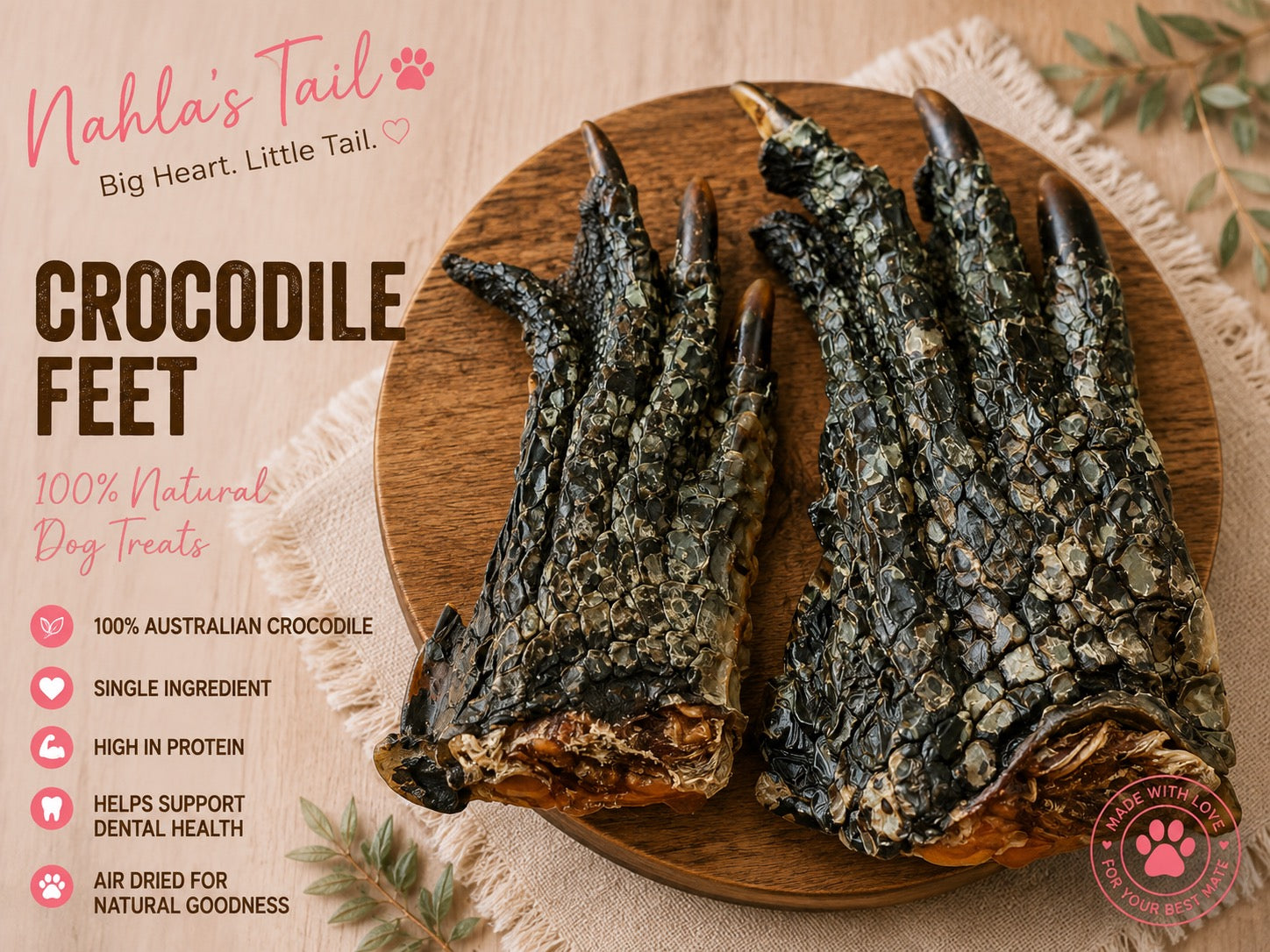 Crocodile Feet