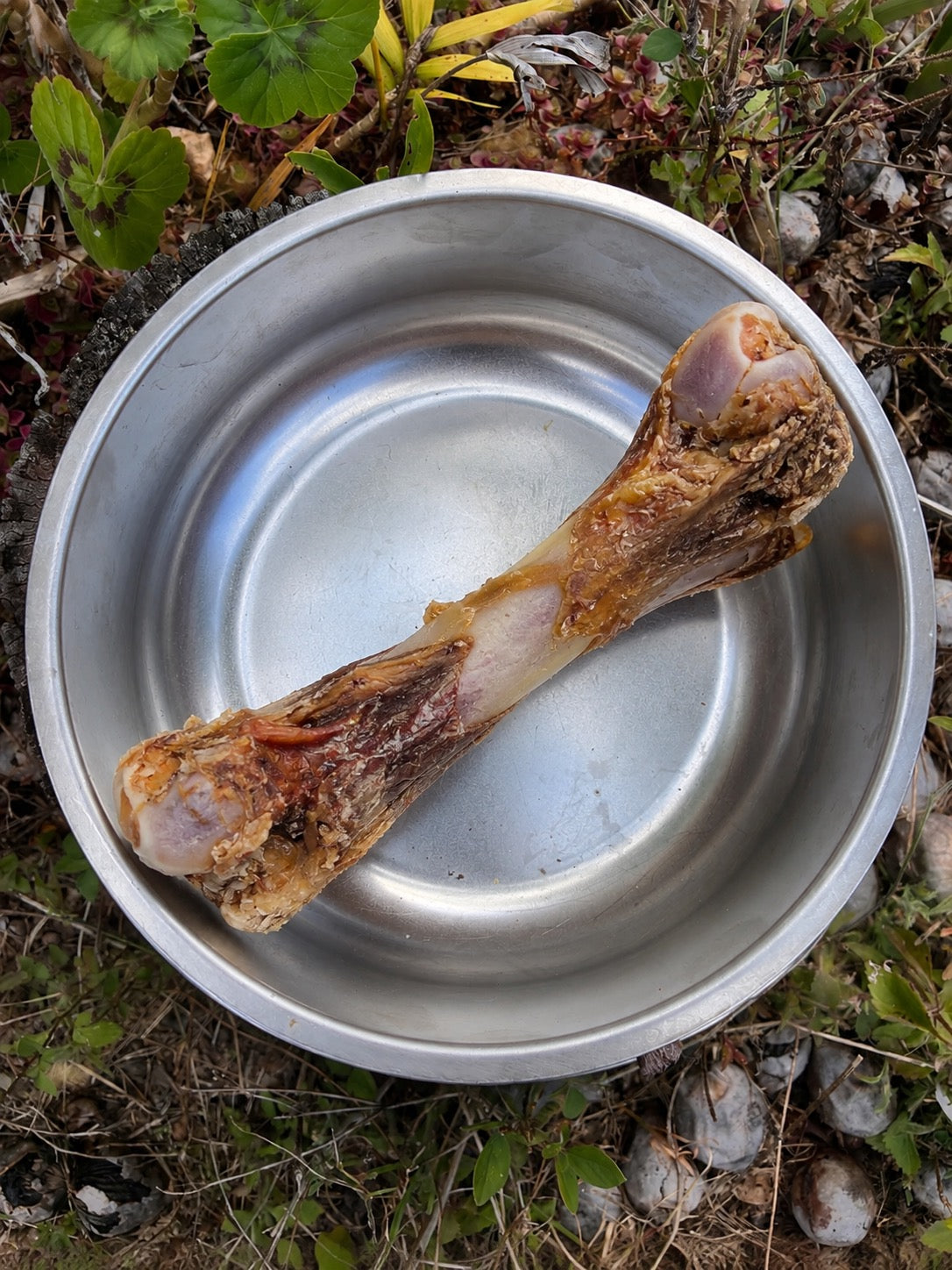 Lamb Marrow Bone Dog Chew – Natural Single Ingredient Treat