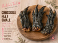 Crocodile Feet
