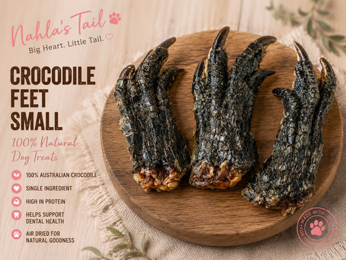 Crocodile Feet
