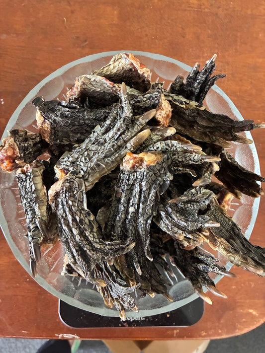 Crocodile Feet - Small